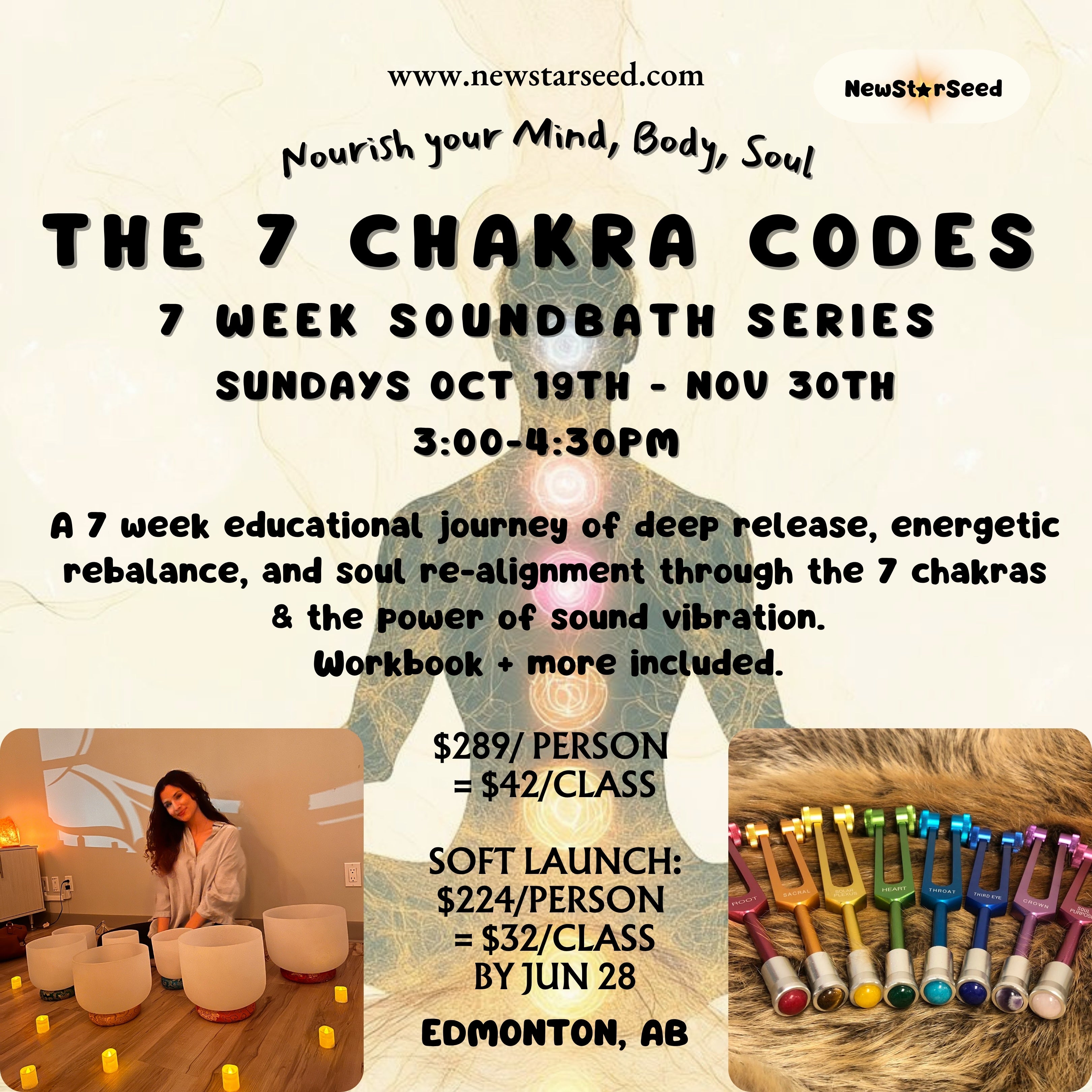 THE 7 CHAKRA CODED: 7 Week Series ~ Oct 19th-Nov 30th, 2025