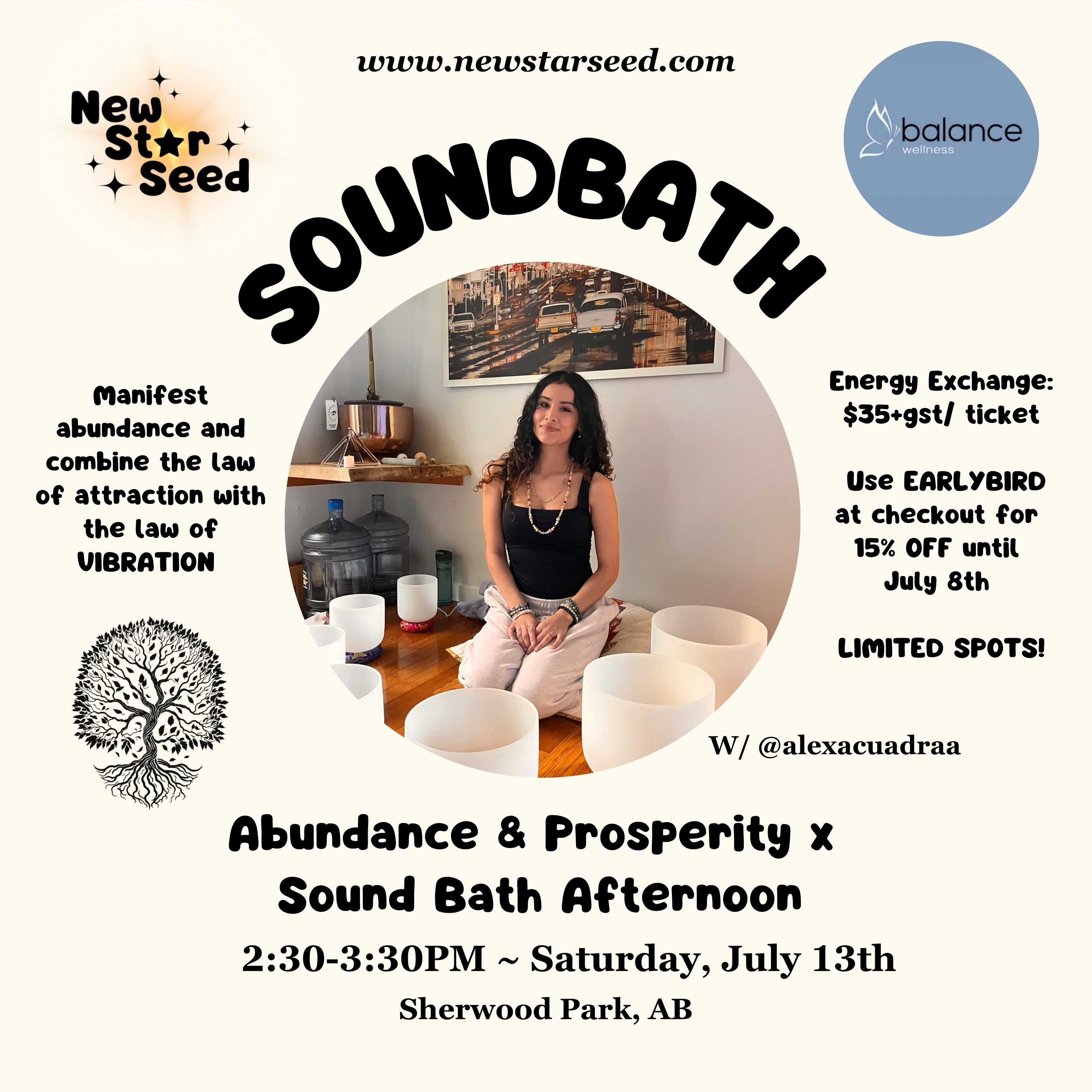 Abundance & Prosperity x Sound Bath Afternoon - July 13, 2024