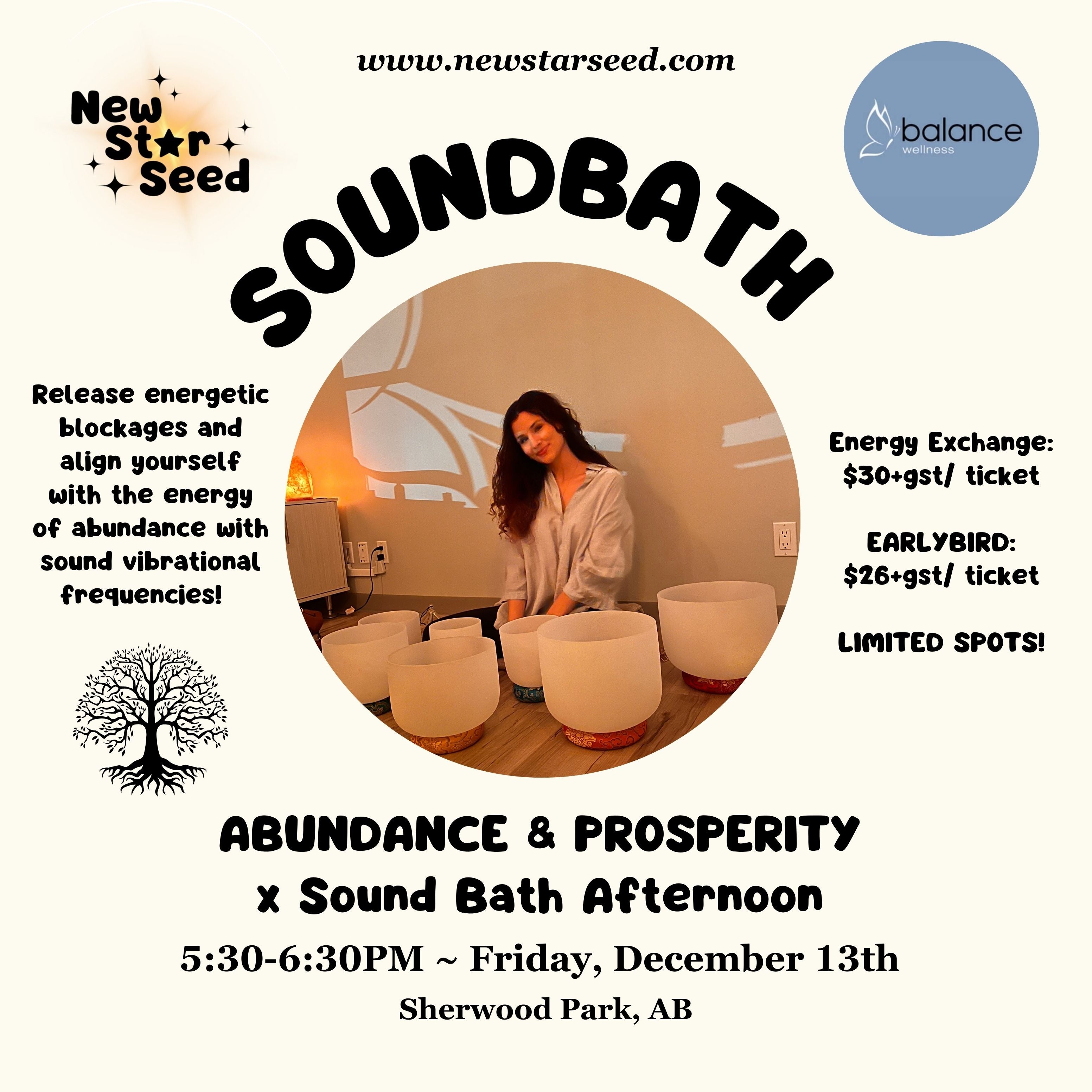 Abundance & Prosperity x Sound Bath Afternoon - December 13, 2024